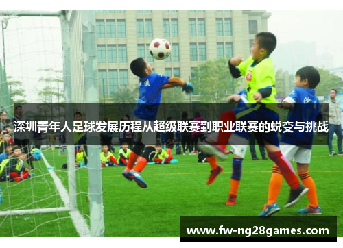 深圳青年人足球发展历程从超级联赛到职业联赛的蜕变与挑战